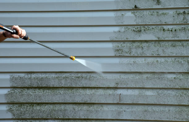Best Fence Cleaning  in Jones Valley, CA